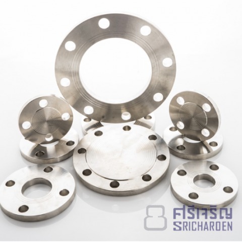 อุปกรณ์หน้าแปลนสแตนเลส